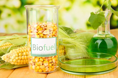 Rustington biofuel availability